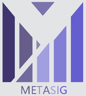 IEEE SIG on Metaverse